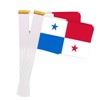 25 Packs Small Panama Flags on Handheld Stick，Miniature Panamanian Flag