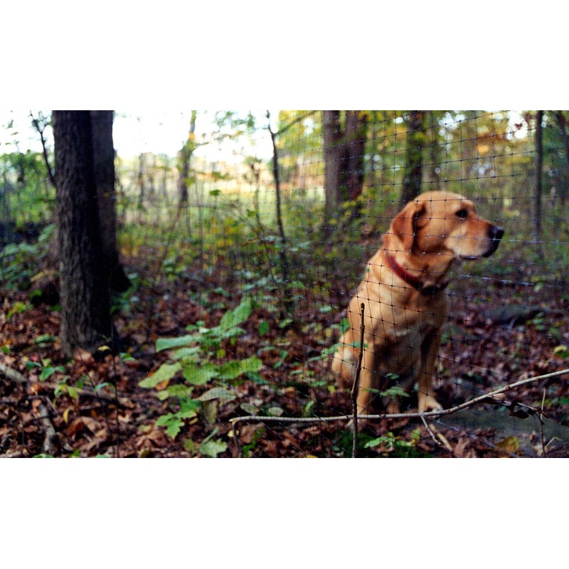 Tenax 2A140073 Pet Fence Select Pet Fence, Black, 4' x