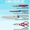 4 Piece Cutlery Knife Set with Shears, Stainless Steel, Multicolor,