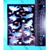 American Greetings Sharks & Fish Stickers Sheet American Greetings