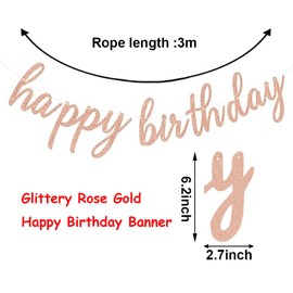 Rose Gold Happy Birthday Banner and Paper Tassel Garland - Party Decorations for Baby Girls Women - Retro Pink and Gold Sign