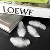 500pcs-White Rooster Feathers 3-5inch Bulk Feathers for Crafts DIY Dream