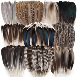 40pcs Natural Pheasant Feathers Bulk Spotted Feathers 5 Styles Mixed Feathers for Crafts DIY Hat Floral Arrangements WeddingColor: 10 Style