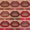 BINGBRUSH 2-in-1 Gradient Lip Liner & Lipstick Combo,Matte Longwear Waterproof