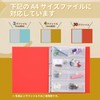 Lion Office Products Pocket Organization File Folders