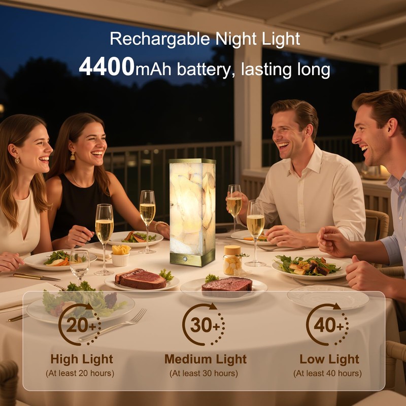 Scenekoy Alabaster Rechargeable Table Lamp for Living Room Bedroom Nightstand,