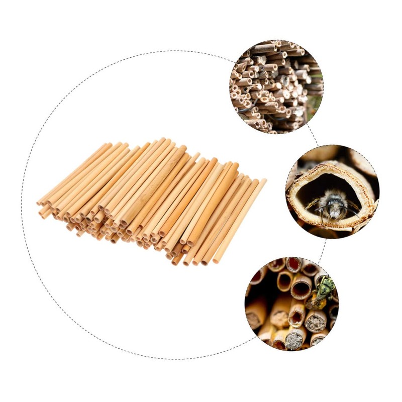 CIYODO 50pcs Bee Tubes for Beekeepers Natural Phragmite Habitat Easy