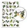 Buzz BRITISH TREE LEAF Nature Identification Poster - 35 Images