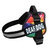 Doggie Stylz Dog Harness with Removable Patches and Reflective Trim.