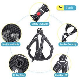 BAAPET Breathable Dog Harness for Small Puppy, Medium Dogs Step-in and Air Mesh with 6 Feet Reflective Rope Dog Leash (XL - 6 FT x Chest (24~28''), Black)