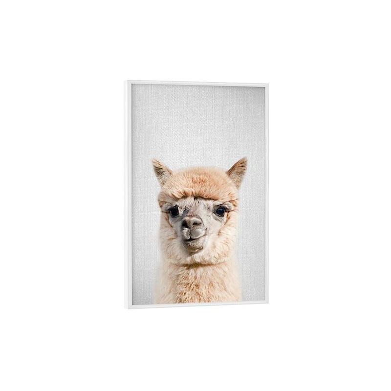 artboxONE Poster with White Frame 60 x 40 cm Lama