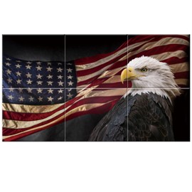 Art Acoustic Panels, 6 Pack Self-Adhesive Large Wall Art Paintings for Wall Decoration, Sound Absorbing Panels for Recording Studio, Living room, Bathroom, 47.2" × 27" (Bald Eagle with Flag)