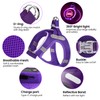 PcEoTllar Light Up Dog Harness, LED Dog Harness for Puppy