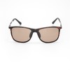 Bunny Walk BW-021 BW-0212C Polarized Sunglasses, Brown Demi HC-BROWN Pop