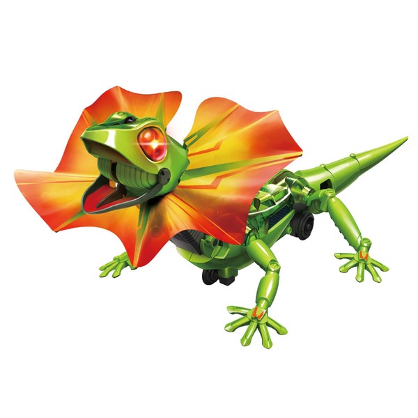 Lizard Lloyd MR-9104