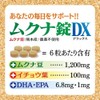 Mukuna Bean Trial 2-Piece Set [Shikishimaya] [Made in Japan (Kumamoto