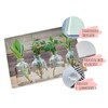 GRAZDesign Glass Chopping Board Breakfast Board Gift Herbs in Glass