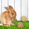 SunGrow Assorted Rabbit Chew Balls, Teething Activity Toy for Pocket
