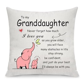 Sister Throw Pillow Cover Gift Big Middle Little Sister Gift from Sister Inspirational Gift Graduation Gift for Sister Pillow Case Gift Birthday (Granddaughter)