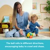 Bright Starts Wobble Bobble Activity Ball Toy, Baby & Toddler