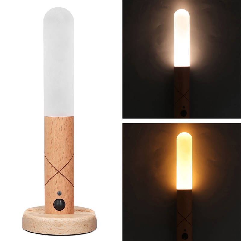 LED Motion Sensor Night Light Brightness Adjustable Portable USB Rechargeable