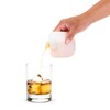True Rogue Plastic Flask for Liquor - Hidden & Discreet