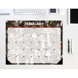 Willow Creek Press Mushrooms Monthly 2025 Deskpad Calendar (22" x 17")