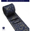 Hisdern TP-01S Men’s Paisley Pattern Necktie and Square Set, Business,