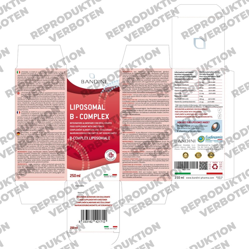 Bandini® Vitamin B Complex Liposomal | 250 ml Liquid Format
