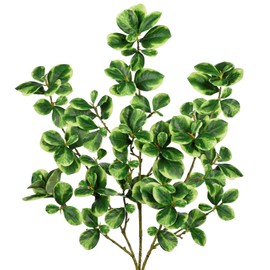 Hollyone 3 Packs Artificial Greenery Stems 36.2 Inch Faux Stems White Edged Leaves with Long Stems Fake Branches Greenery Stem for Vase Garden Home Office Wedding Decoration