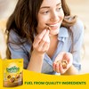 belVita Energy Snack Bites, Banana, Dark Chocolate and Sunflower Seed,