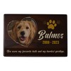 Custom Pet Keepsake Urns for Dogs, Wooden Box for Pet