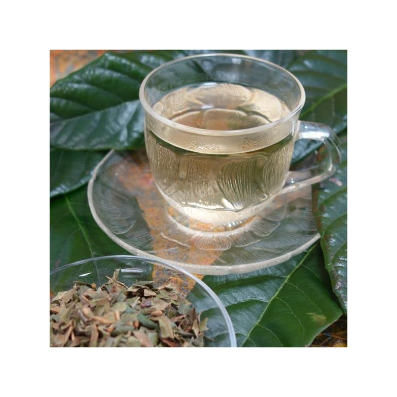 Loquat Leaf Tea (Roquat Leaf Tea, Biwa-cha), 2.4 oz (70