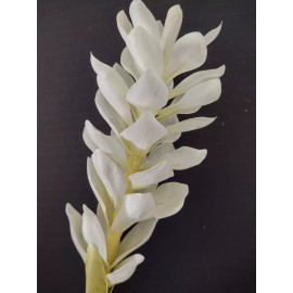 flowersbyjames Ginger lily stem. Silk flower arrangements tropical Hawaiian flowers  WHITE