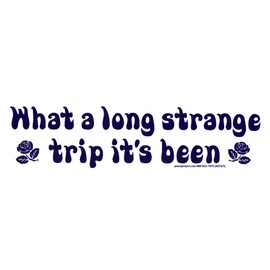 What A Long Strange Trip It's Been - Magnetic Bumper Sticker/Decal Magnet (9" X 2.5")