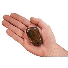 Rock Your Chakra Bronzite 2 1/2" 4-6 Oz Large Tumbled Stones Polished Rocks and Minerals Root Chakra Healing Crystals and Stones