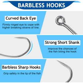Barbless Fishing Hooks, 300pcs Carp Fishing Hooks Trout Hooks Circle Hooks Curve Shank Crank Fly Tying Hooks Carp Hair Fishing Bait Rigs for Freshwater Saltwater Fishing