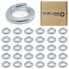 M10 (10mm) Spring Washer Set - Steel - Evelyne (Pack
