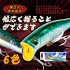 SEAFUN Sea Bass Lure Minnow 90mm 14g Floating Minnow Shallow