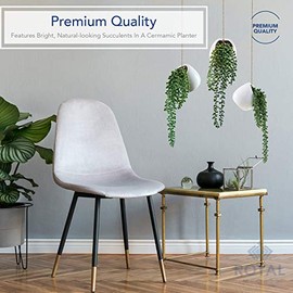 Royal Imports - Plantas artificiales Senecio, cadena de perlas decorativas de cerámica para colgar en la pared, plantas de Rowleyanus, juego de 2