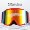 Adult Ski Goggles Double Layer Anti Fog Large Field Cylindrical