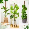 3 Pack Bendable Moss Pole 28" 48" 63" Monstera Plant