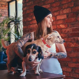 BDEPSTR Leather Cat Collar, Safety Collar for Cats with Elastic Strap, Kitten Band with Bell, for Kittens, Puppies, Dogs, Cats, Pink, L