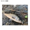 DAIWA Moissanite Valente 115S Chivas Lure, Adele Pink Gold Glow