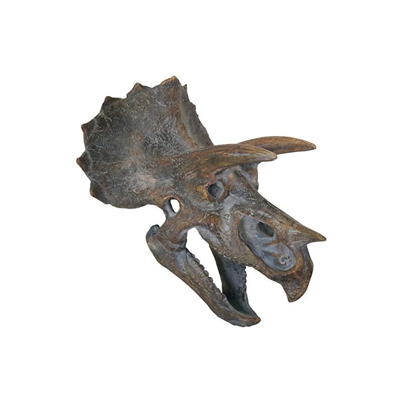 Nemesis Now Triceratops Head 23cm Wall Plaque, Brown