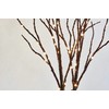 Fudios Lighted Branches with Timer Battery 70 Warm White LED