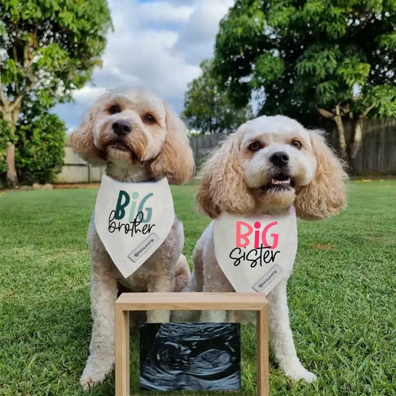 Realeaf Big Sister Dog Bandanas Pet Scarf for Small and