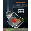 KINGYEENUO Shrimp Feeder Set - Aquarium Fish Feeder Tube Kit