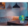 Exerz Illuminated World Globe 9.1-inch Diameter Metal Base - Political