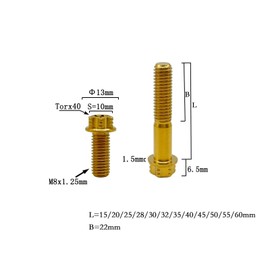 RISON Titanium Bolts M8 x 1.25 x 50 mm Titanium Screws Torx Titanium Screws for Motorcycles Hex Head Dual Drive Golden Titanium Flange Screw Pack of 5